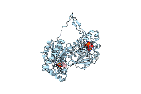 4D4M image