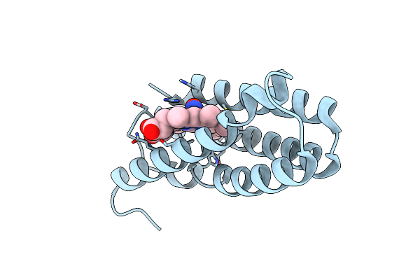 4D4N image