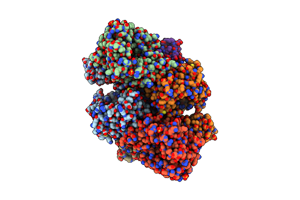 4D4P image
