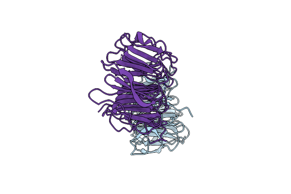 4D4Q image