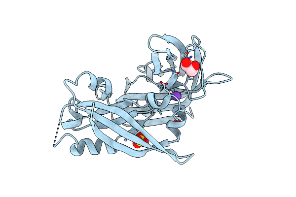4D4T image