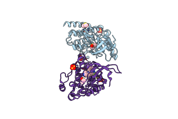 4D4V image