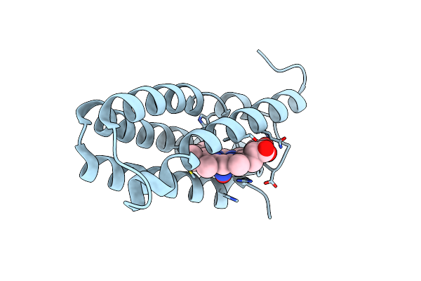 4D4X image