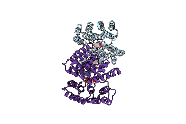 4D4Z image