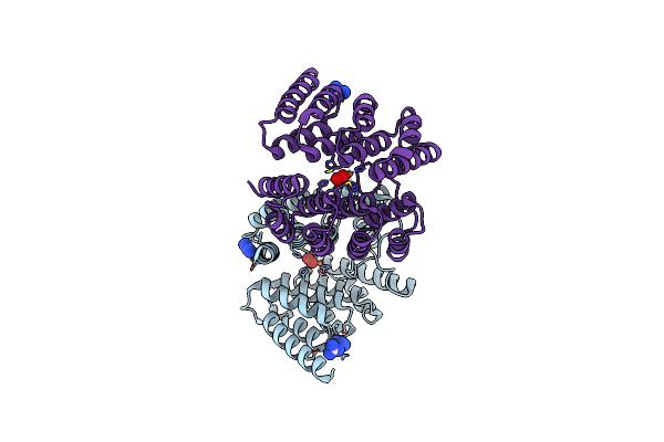 4D50 image