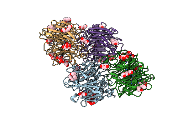 4D52 image