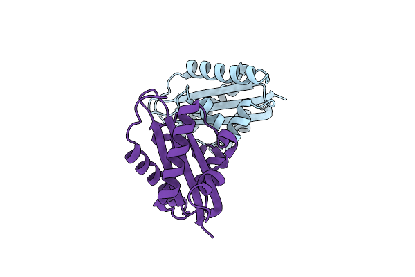4D53 image