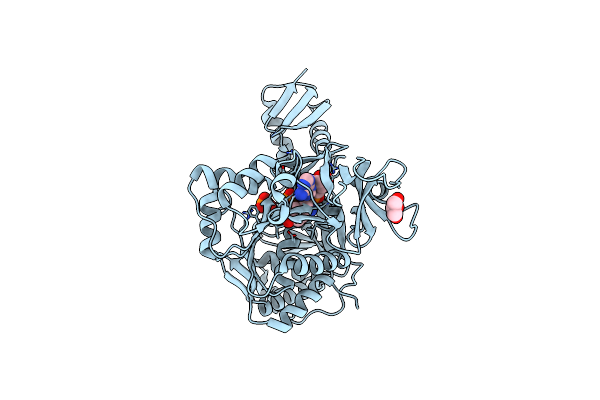 4D56 image