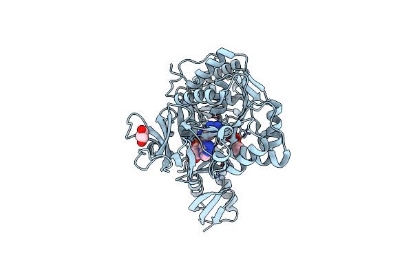4D57 image