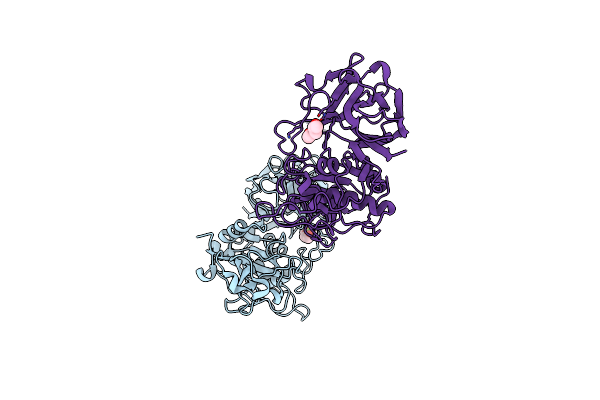 4D59 image