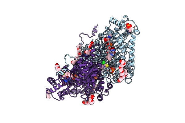 4D5E image