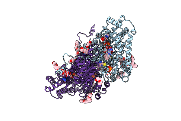 4D5G image