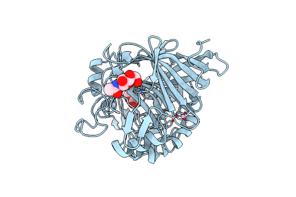 4D5J image