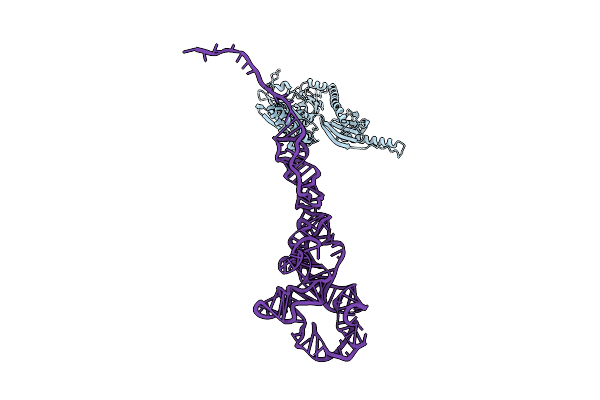 4D5N image