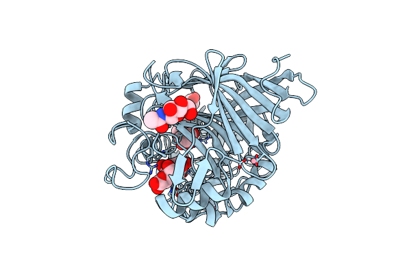 4D5O image