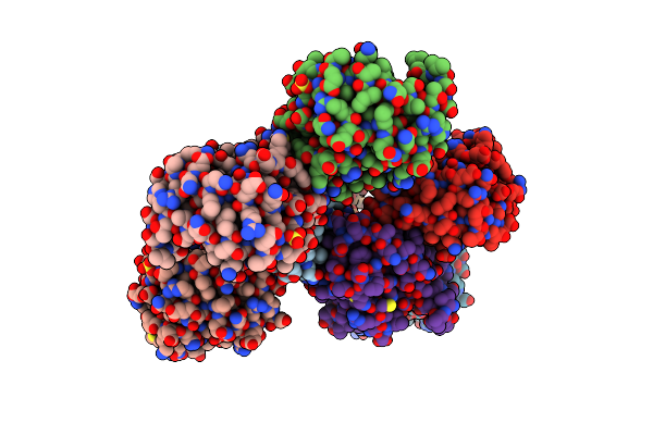 4D5T image
