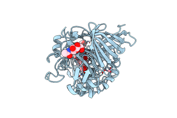 4D5V image