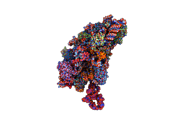 4D61 image