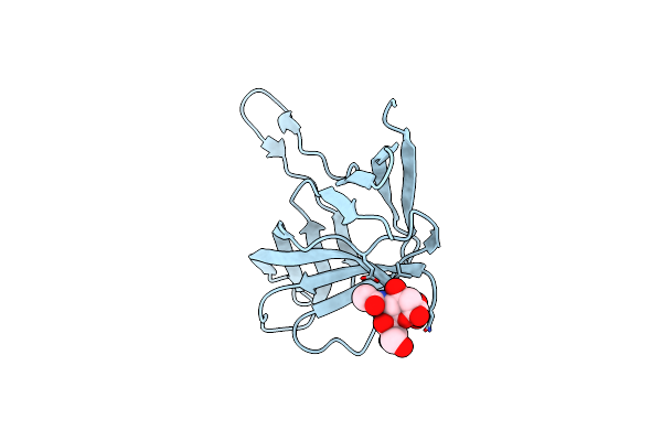 4D62 image