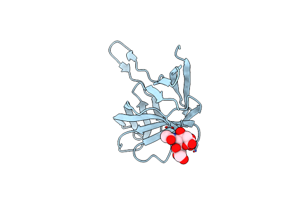 4D63 image