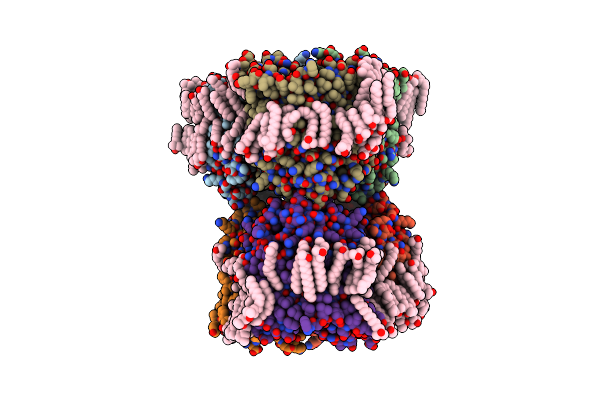 4D65 image