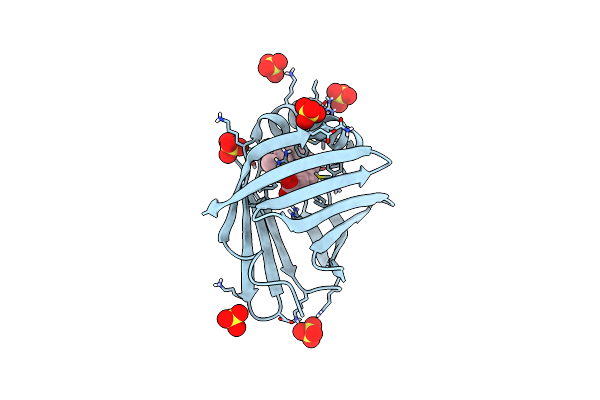 4D6B image