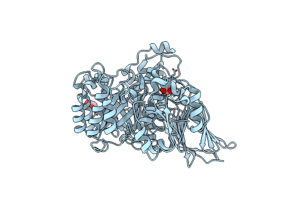 4D6C image
