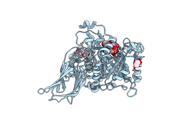 4D6D image