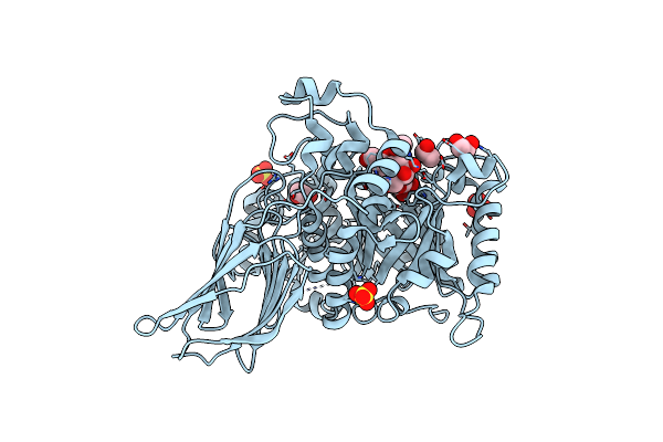 4D6E image
