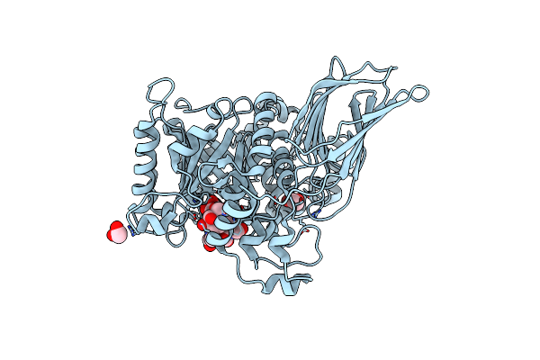 4D6F image