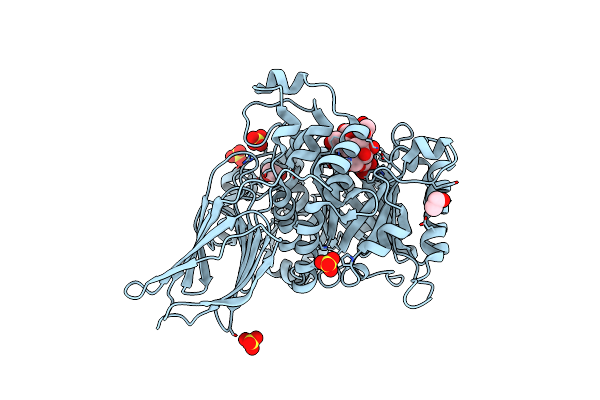 4D6H image