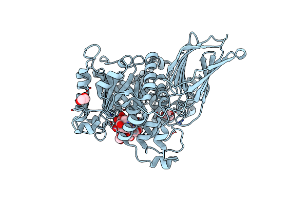 4D6I image