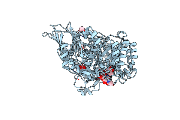 4D6J image