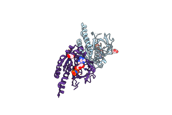 4D6P image