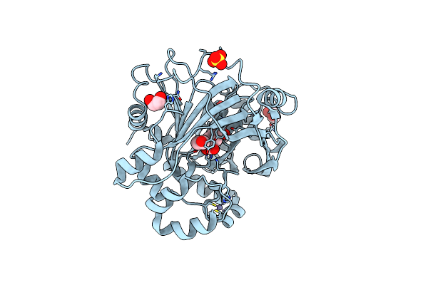 4D6Q image