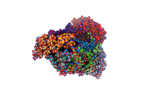 4D6T image
