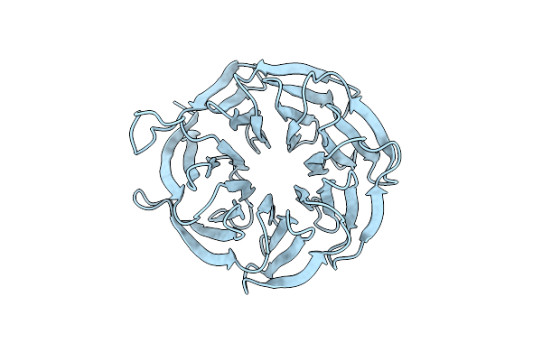 4D6V image