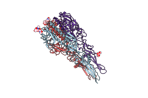4D6W image