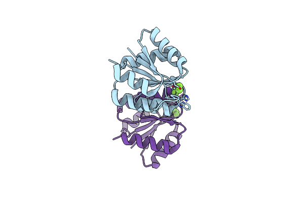 4D6Y image