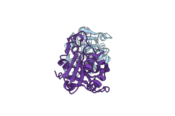4D73 image