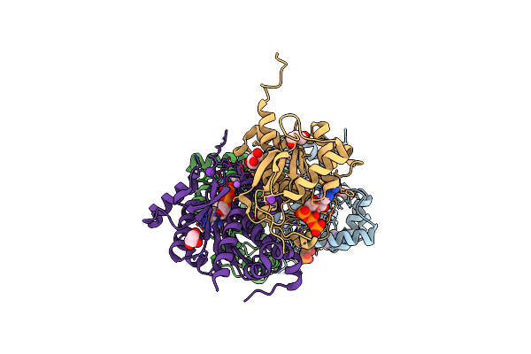 4D79 image