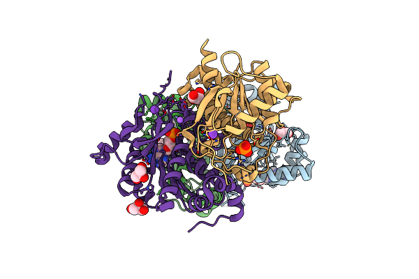 4D7A image