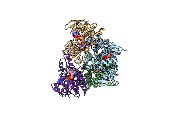 4D7E image