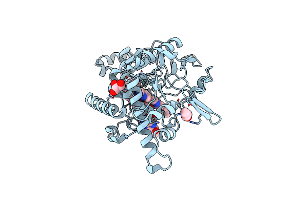 4D7H image