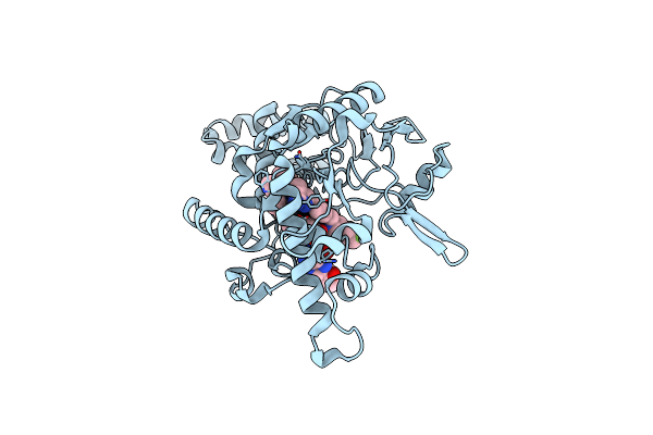 4D7I image
