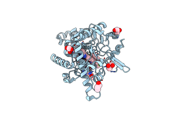 4D7J image