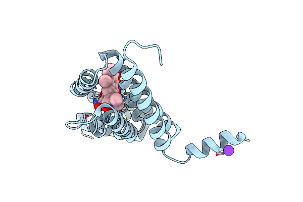 4D7N image