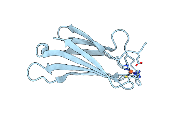 4D7P image