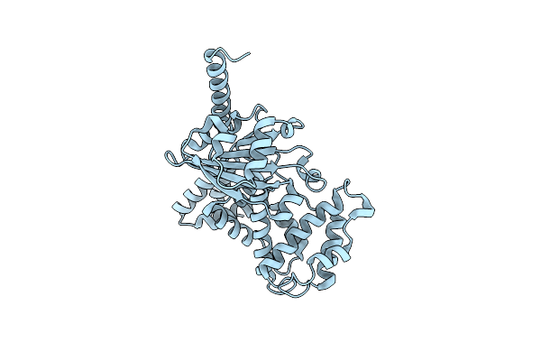 4D7R image