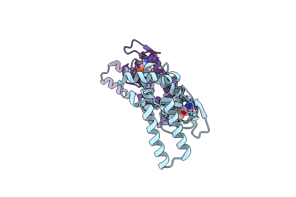 4D7S image